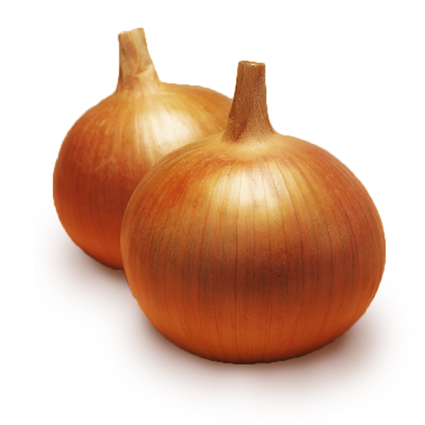 CEBULA BONUS 250T 