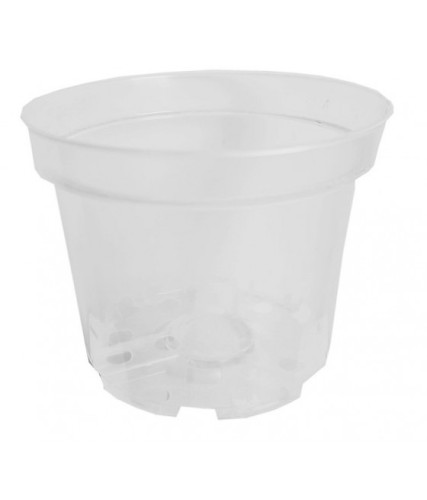 DONICZKA BEZBARWNA SBX 2L INTERPLAST