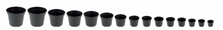 DONICZKA PRODUKCYJNA SBX 3L INTERPLAST