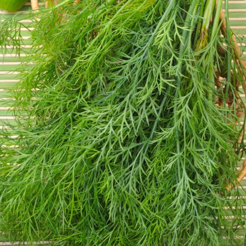 KOPER AMBROZJA 100G