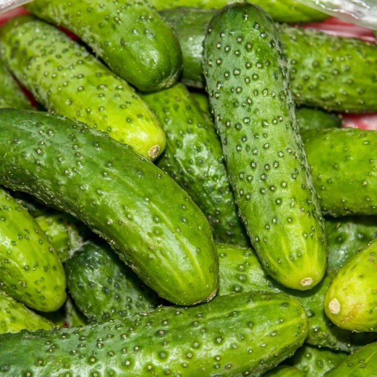 OGÓREK ŚREMIANIN 250G