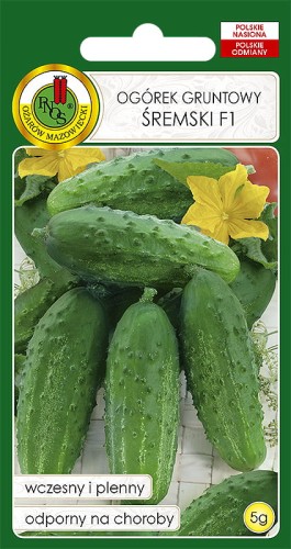 OGÓREK ŚREMSKI (5G)O 