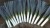 POR DARTER PRIMED 10T