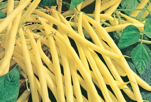 FASOLA ROCDOR 1KG
