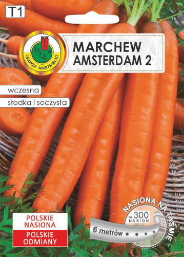 MARCHEW AMSTERDAM (6M)O