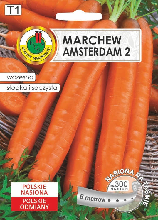 MARCHEW AMSTERDAM (6M)O