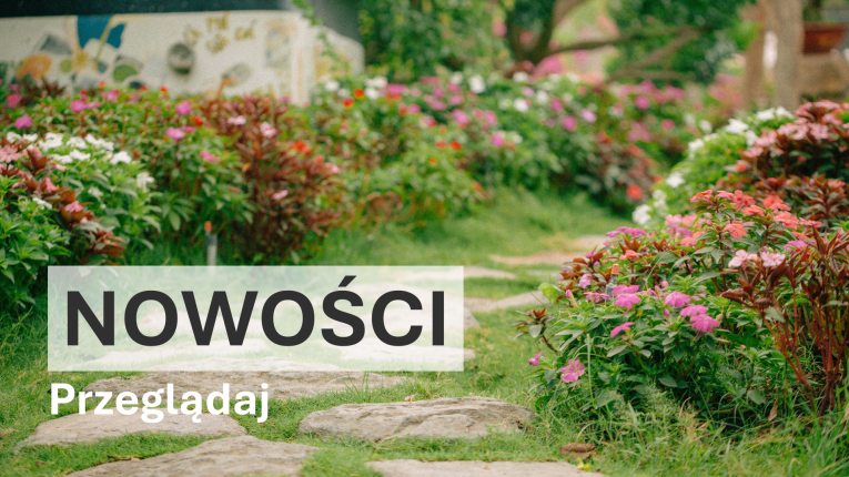 Nowości