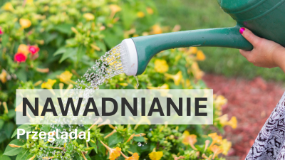Nawadnianie