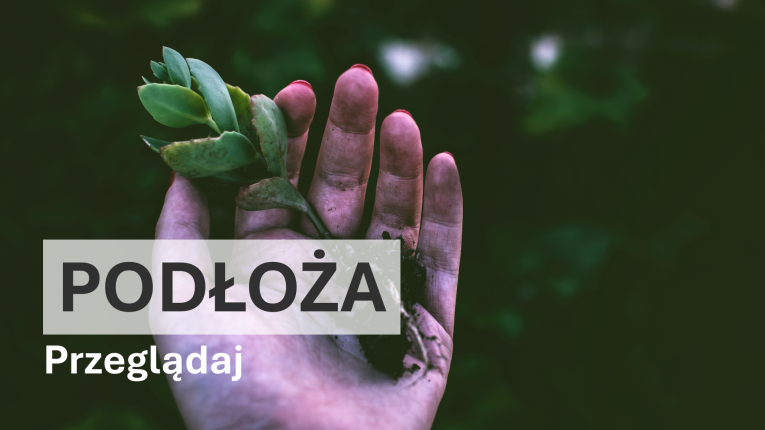 Podłoża