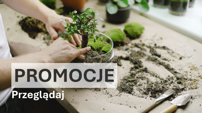 Promocje