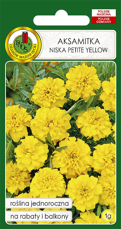 AKSAMITKA PEŁNA NISKA PETTI YELLOW (1G)