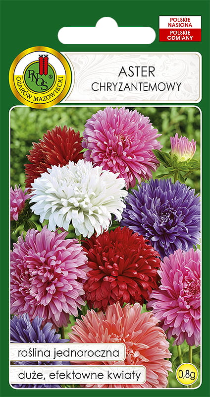 ASTER CHRYZANTEMOWY MIESZANKA (0,8G)