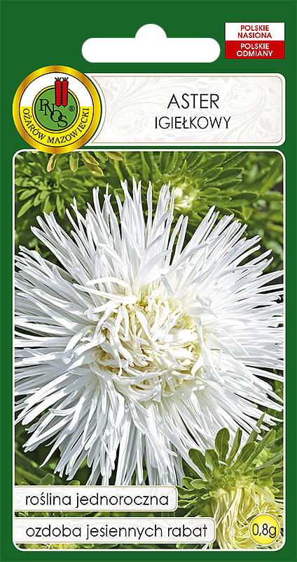 ASTER IGIEŁKOWY BIAŁY (0,8G)