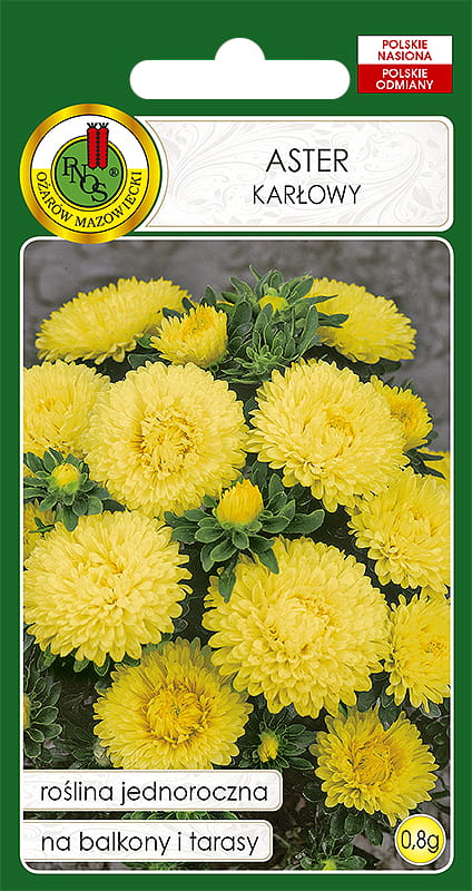 ASTER KARŁOWY ŻÓŁTY (0,8G)