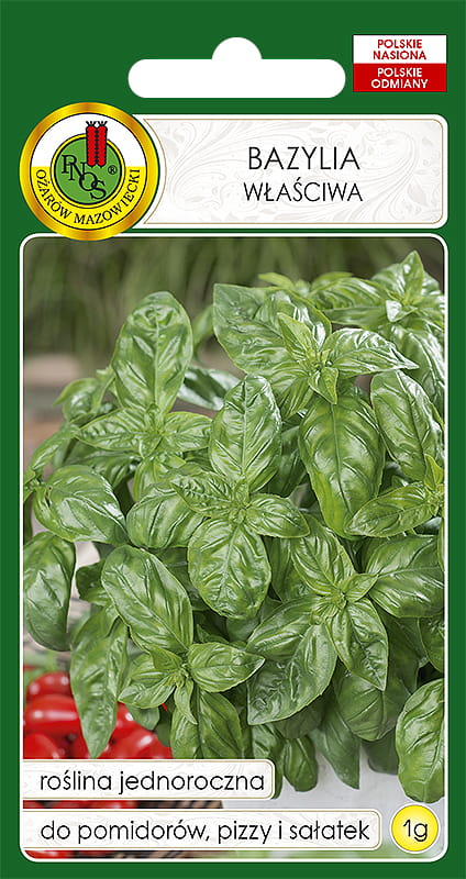BAZYLIA ZIELONA GENOVESE (1G)