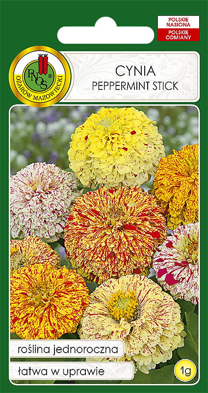 CYNIA DALIOWA PEPPERMINT STICK MIESZANKA  (1G)