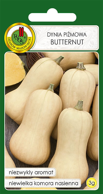 DYNIA PIŻMOWA BUTTERNUT (3G)