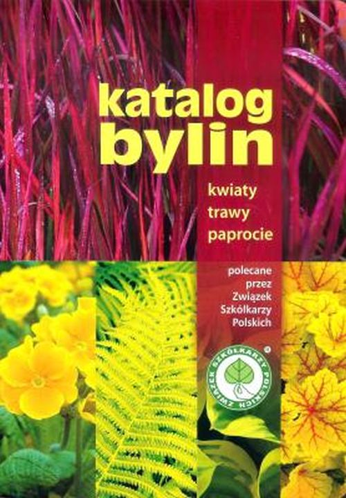 KSIĄŻKA: KATALOG BYLIN