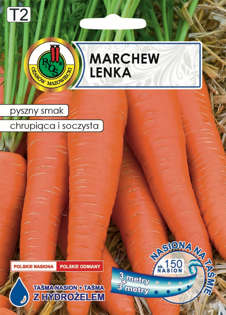 MARCHEW LENKA NA TAŚMIE (6M)