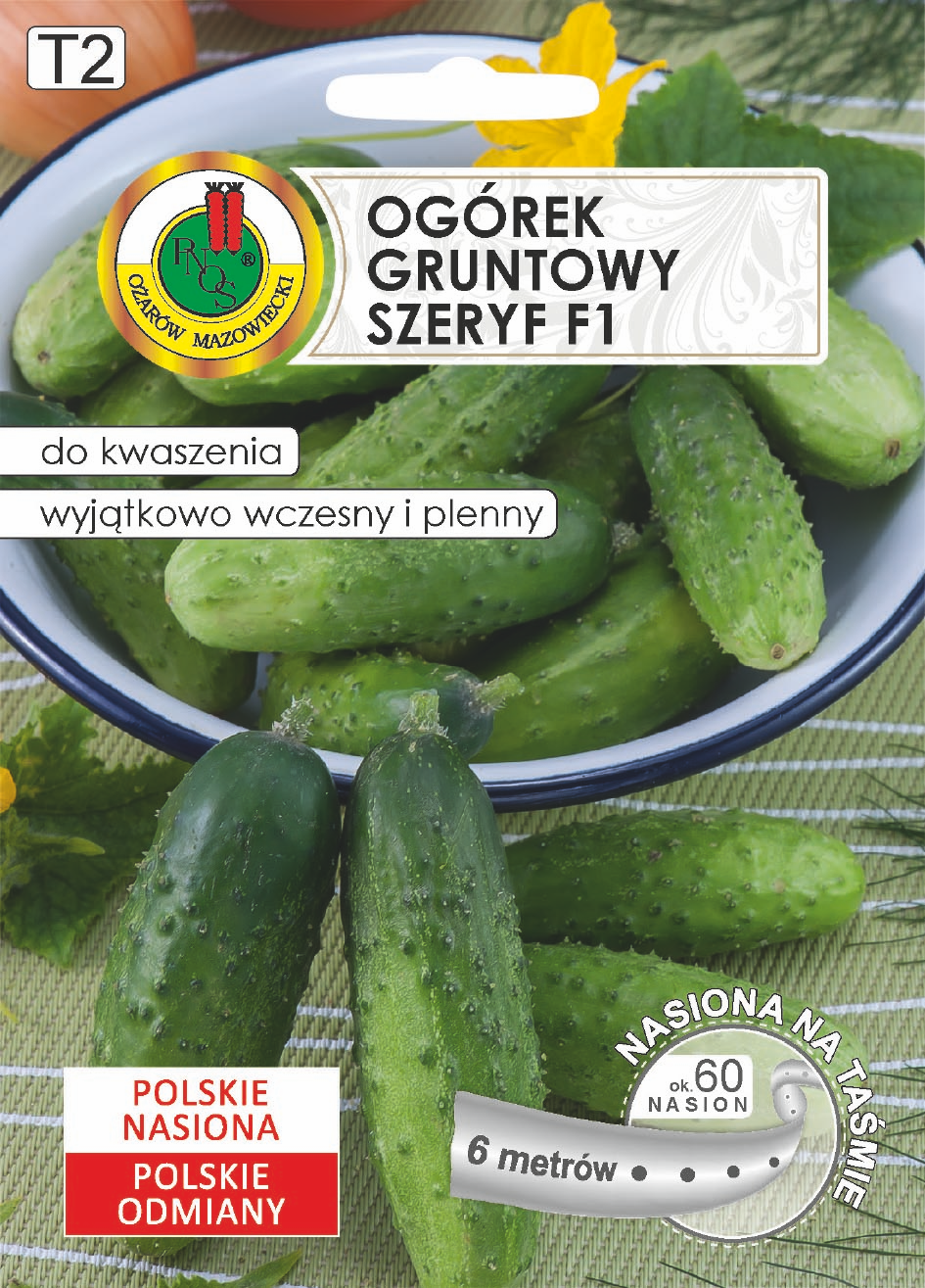 OGÓREK SZERYF F1 NA TAŚMIE (6M)