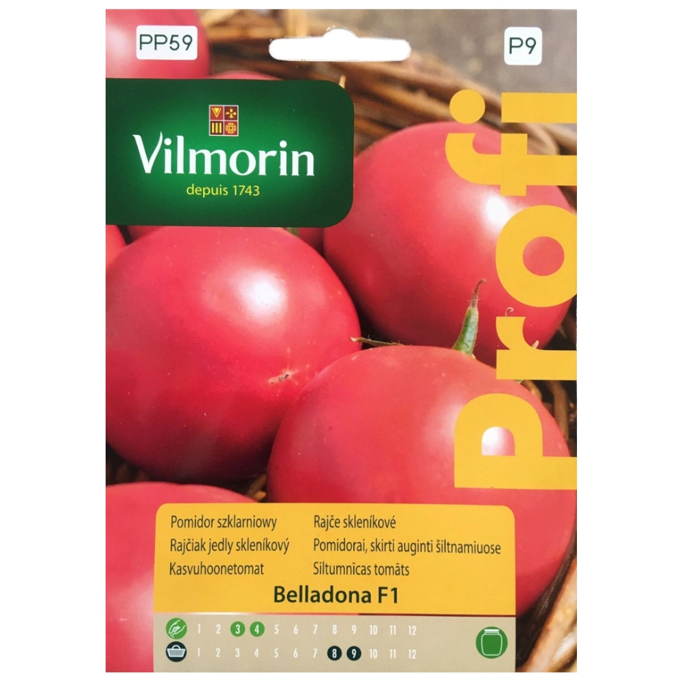 POMIDOR BELLADONA 8 nasion