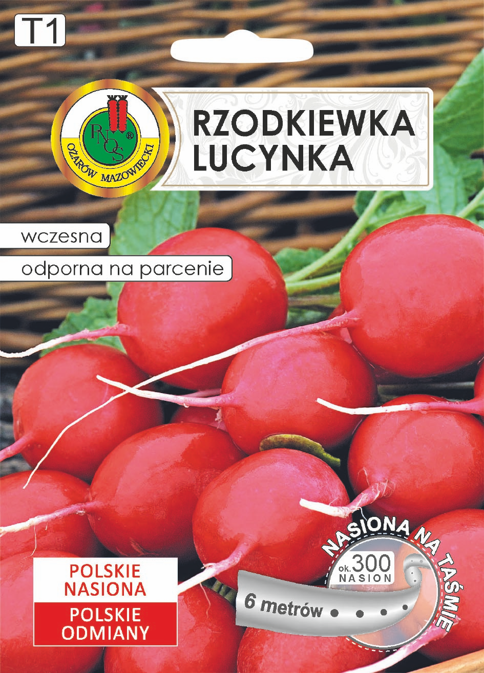 RZODKIEWKA LUCYNKA  NA TASMIE (6M)