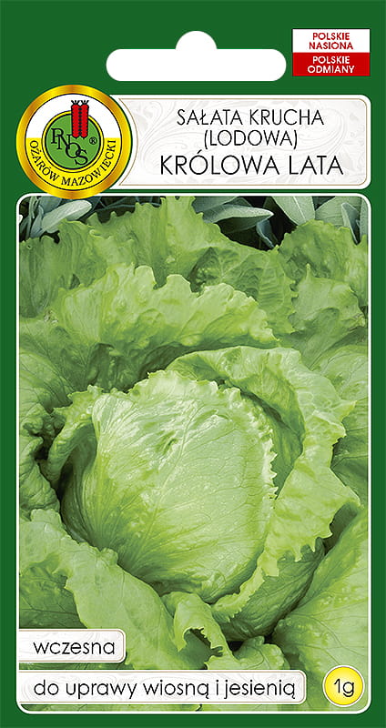 SAŁATA KRÓLOWA LATA  (1G)
