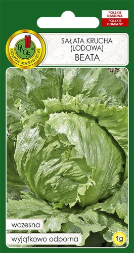 SAŁATA KRUCHA BEATA (1G)