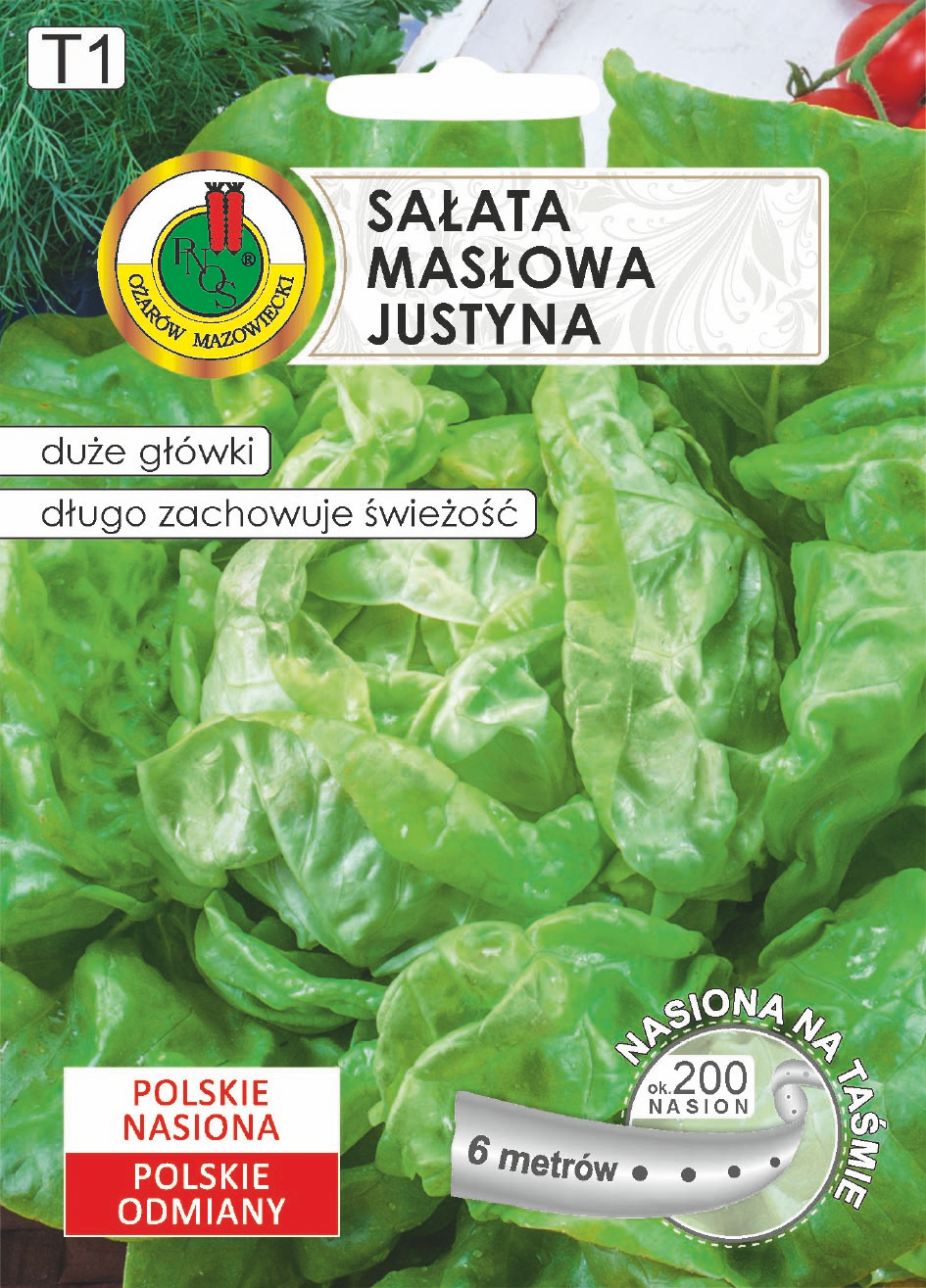 SAŁATA MASŁOWA JUSTYNA NA TAŚMIE (6M)