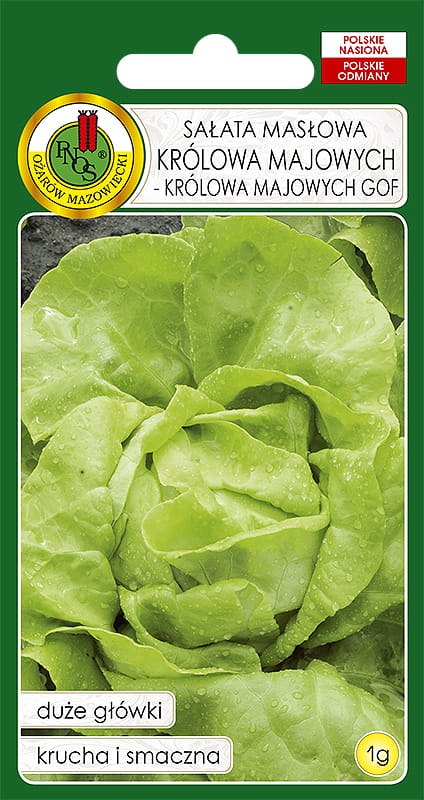SAŁATA MASŁOWA KRÓLOWA MAJOWYCH (1G)