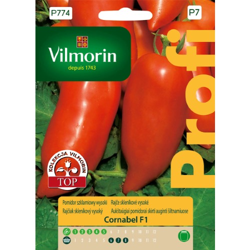 POMIDOR SZKLARNIOWY CORNABEL F1 15 nasion 