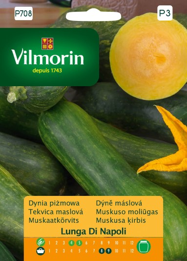 DYNIA PIŻMOWA LUNGA DI NAPOLI 2G