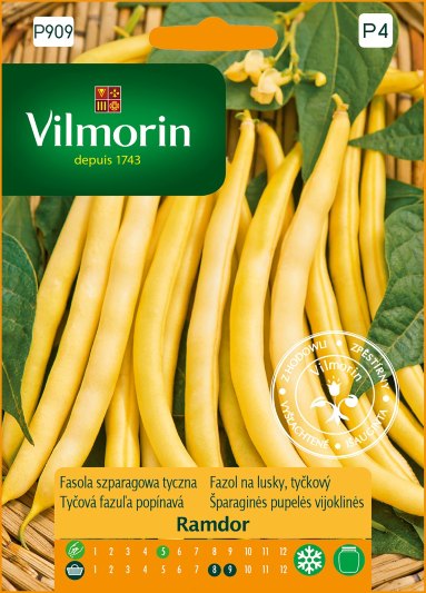 FASOLA SZPARAGOWA RAMDOR 10G