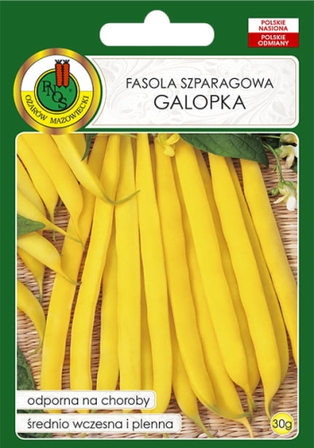 FASOLA GALOPKA (30G)