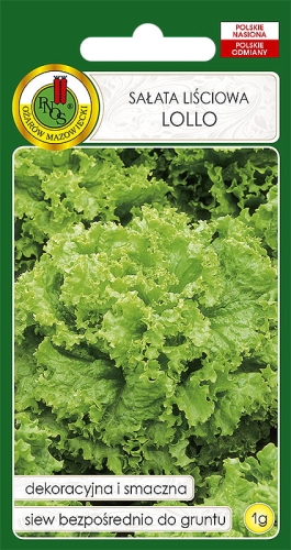 SAŁATA LOLLO  (1G)