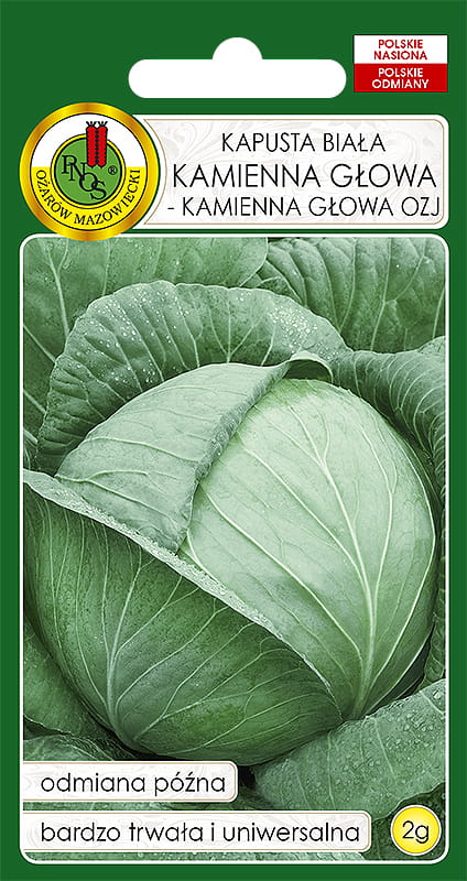 KAPUSTA BIAŁA KAMIENNA GŁOWA (2G)