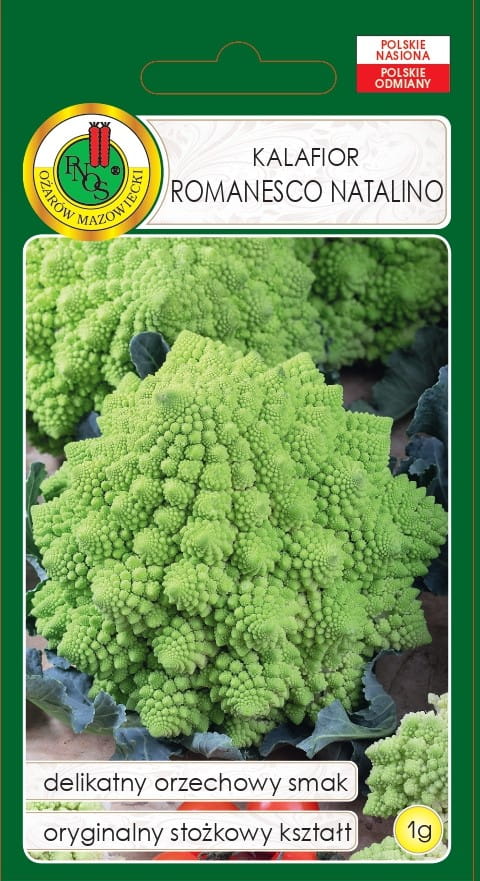 KALAFIOR ROMANESCO NATALINO (1G)