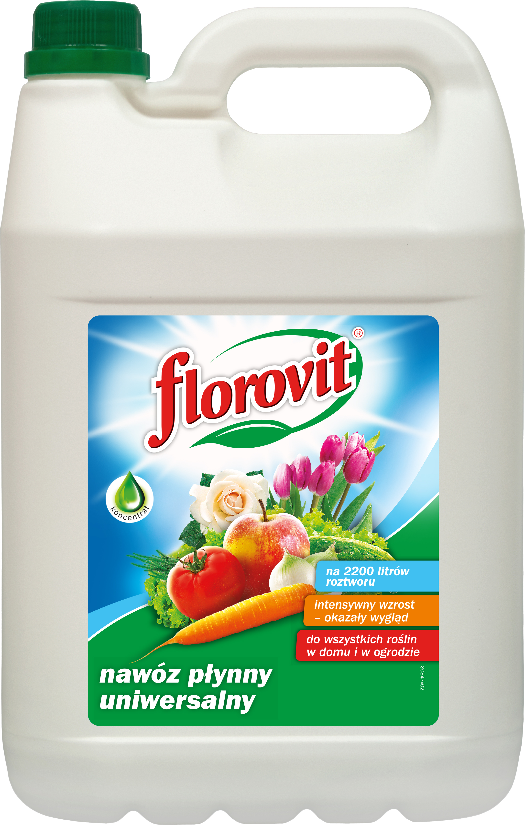 FLOROVIT 5L UNIWERSALNY