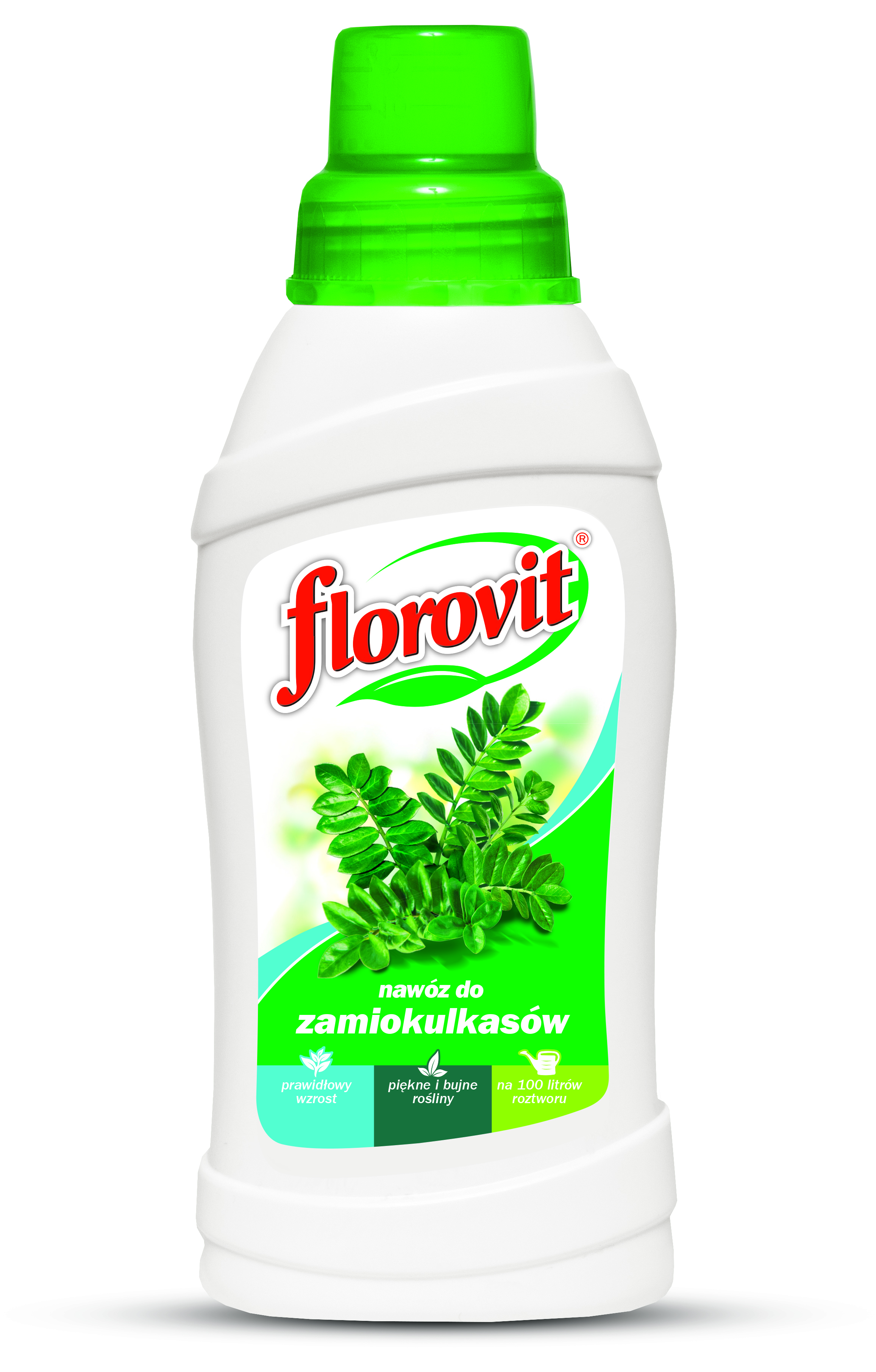 FLOROVIT DO ZAMIOKULKASÓW 0,5L