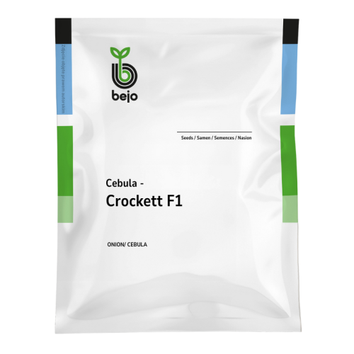 CEBULA CROCKET 250T PREC.
