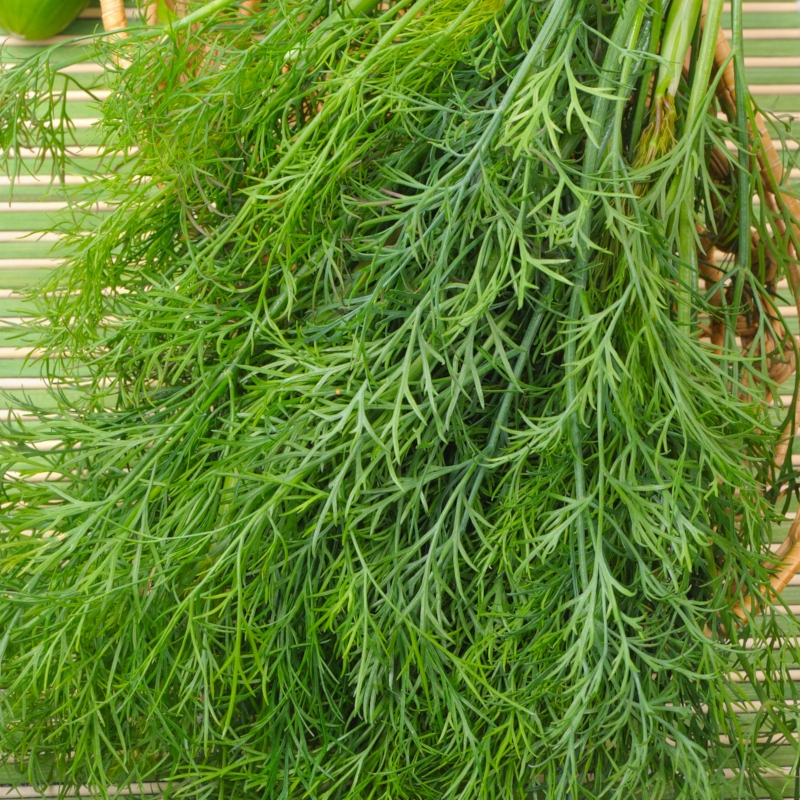KOPER AMBROZJA 100G