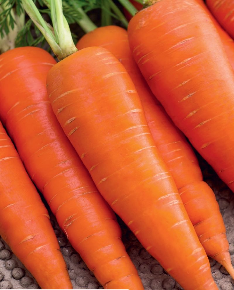 MARCHEW KAROTAN 250G