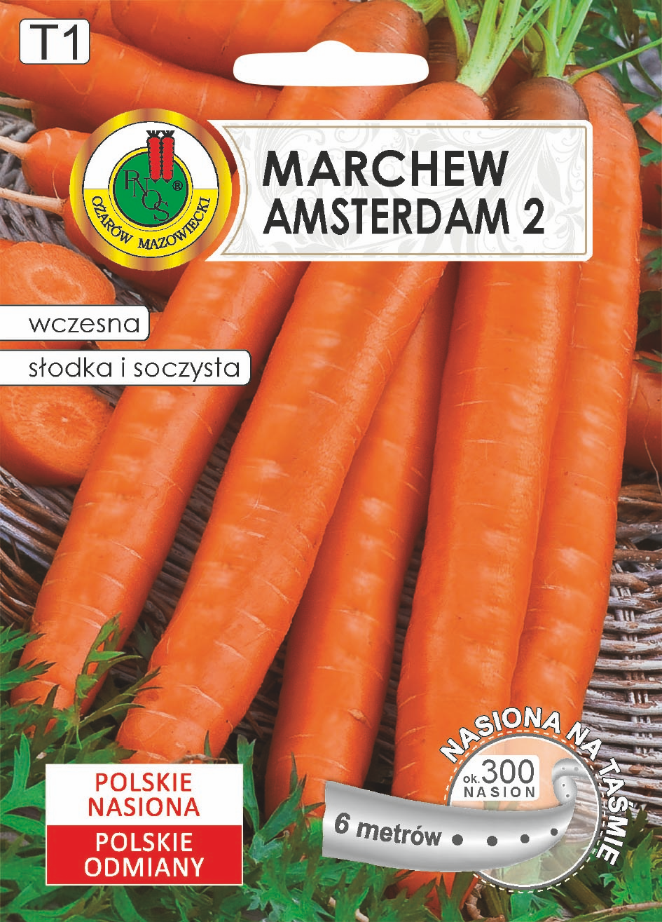 MARCHEW AMSTERDAM (6M)O